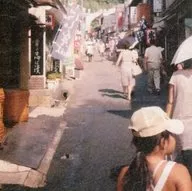 世界的北/子