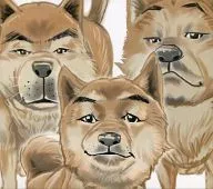 スチャダラパー / 6ピースバリューパック