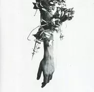 mouse on the keys / the flowers of romance