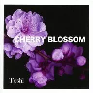 Toshi / CHERRY BLOSSOM
