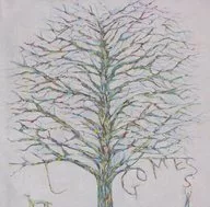 GOMESS / Shi [edición normal]