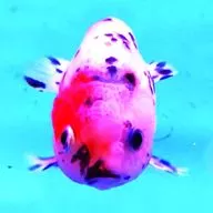 Climb The Mind channel 3