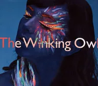 ザウィン King Owl / Into Another World