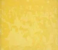 Omnibus/'72春季一號演唱會現場