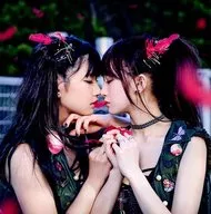 The Idol Formerly Known As LADYBABY/Pinky！Pinky！[附DVD初回限定盤]