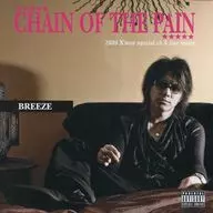 CHAIN OF THE PAIN / BREEZE