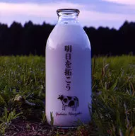 半崎美子/明日拓广[附DVD特别盘]