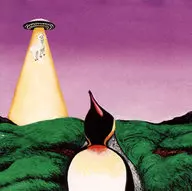 South Penguin / Y
