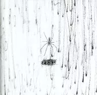 Kodomo Dragon/PEST [First Press Limited Edition A with DVD's]