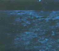 ebylock / profunda bluo