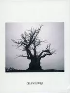 SEKAI NO OWARI/SEKAI NO OWARI2010-2019[附DVD完全生产限定高级BOX]