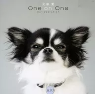 Ai Otsuka / Inuzuka Ai : One on One Collaboration