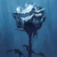 waterweed / Deep inside + Unknown best