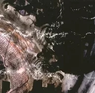 Suena allí / desaparece en la lluvia [edición limitada]