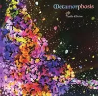 Papilio Effectus / Metamorphosis