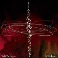Toshi The Groove / In The Pocket