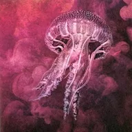 MIGMA SHELTER / OZ two