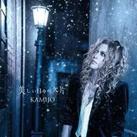 KAMIJO / Beautiful Everyday Pieces [First Press Limited Disc A with DVD]