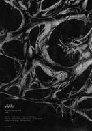 XG / AWE[初回盤 XG ver.]
