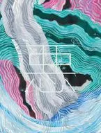 女王蜂 / 悪[完全生産限定盤]