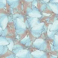yeti let you notice / hontounokoto