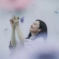 原田知世 / アネモネ[通常盤](SHM-CD)
