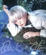 ＆TEAM / Back to Life[ROAR ver. (HARUA ver.)]