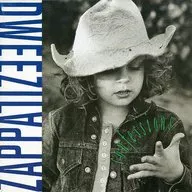 Dweezil Zappa / Confessions