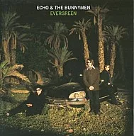 Echo & the Bunnymen / Evergreen (Discontinued)