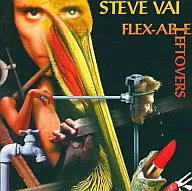 Steve Vai/Flexable レフトオーヴァーズ