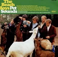 海滩男孩/宠物熊(停产)