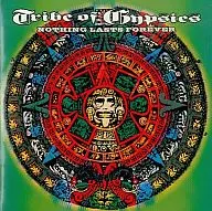Tribe of Geese : Nothing ラスツ Forever