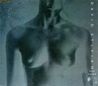 David Sylvian / Pop Song (Obsolete)
