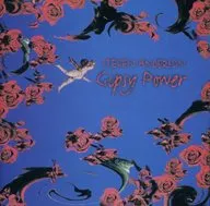 Steven Anderson/Gypsy Power (obsoleto)