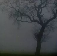 JESU/SILVER