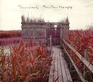 Tenniscoats / Tintin Therapy