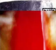 Nine Inch Nails / The Fura Jair [limited edition]