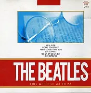 Big Artist Album / The Beat's