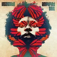 Incognito / アンプリファイド Soul