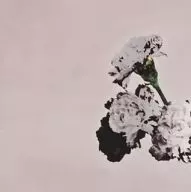John Legend / Love in the Future Special Edition