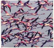 維基媒體消歧義頁