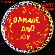 Jesse&Merry Chain/Damage&Joy
