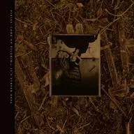 Pixies / COME ON PILGRIM-IT'S SURFER ROSA