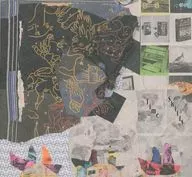 Animal Collective/Time Skiffs
