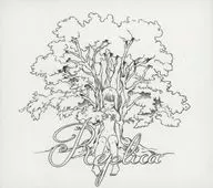 Replica / Stage "Katashiro Rebuild" CD