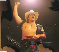 Lucha libre profesional : Stan Hansen