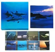 OCEAN BLUE CD BOX