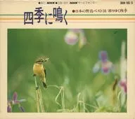 四季节鸣叫的最佳野生鸟类10/迁徙的四季节