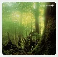 Junichi Kamiyama / Otono Aromatherapy Gifts from the Forest