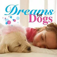 Dreams for Dog